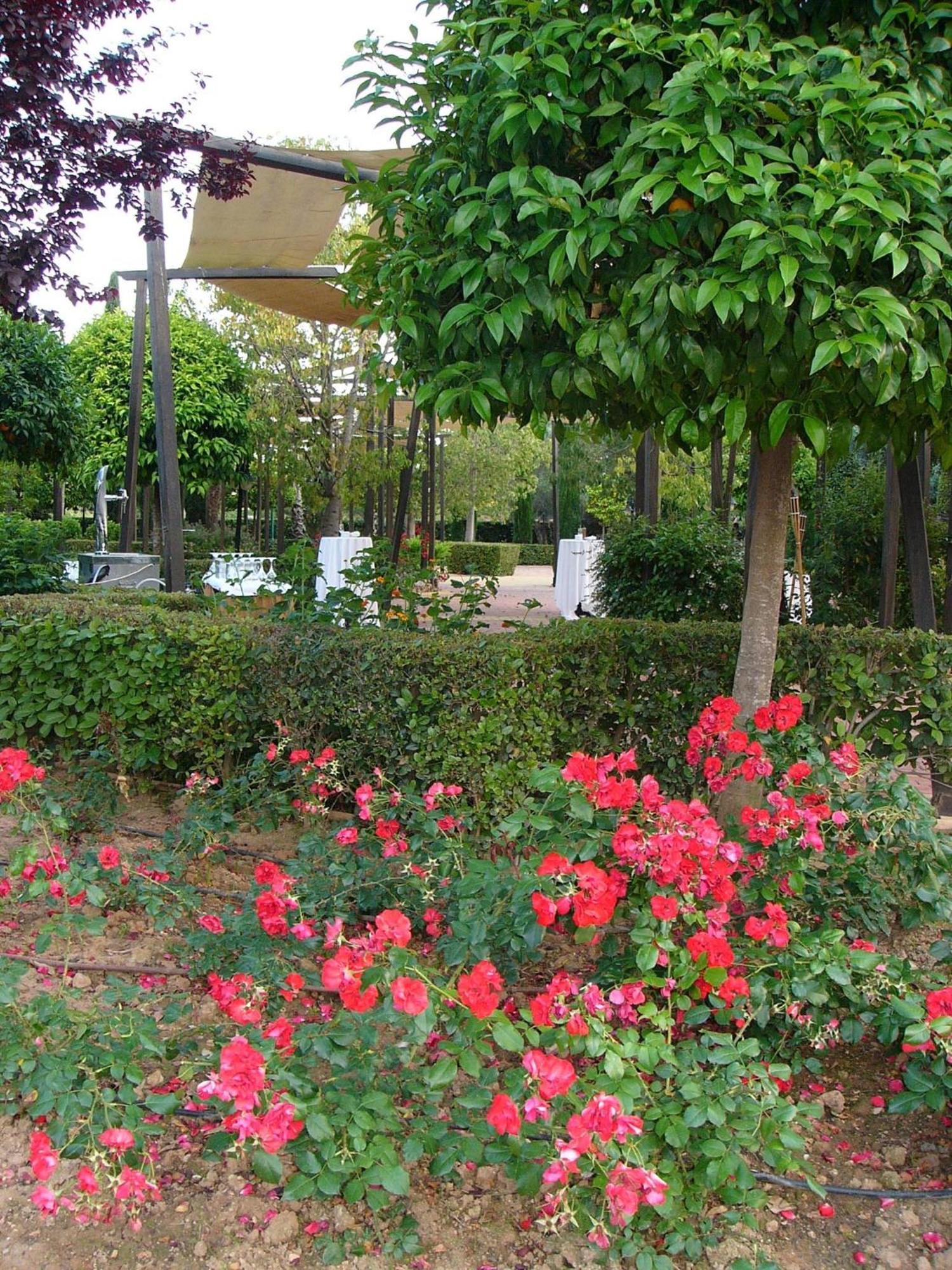 Ad Hoc Parque Hotel Bétera Eksteriør billede